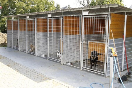 Na Štědrý den za zvířaty