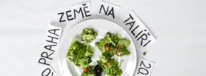 foto:  hithit.com / Země na talíři