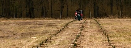 Foto:  Lukáš Čížek