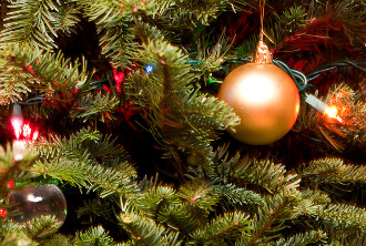 Pod stromeček si udělejte radost a podpořte váš oblíbený deník o životním prostředí Ekolist.cz