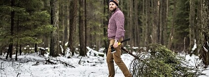 foto: Jurijs Korjakins / Shutterstock