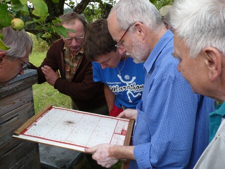 PSNV se snaží také změnit současnou praxi ošetřování včelstev chemií, která je podle ní v kritických letech, jako například letos nefunkční a zbytečně zatěžuje včely a jejich produkty