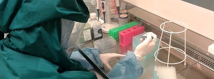 Foto: Parazitologický ústav Biologického centra AV ČR