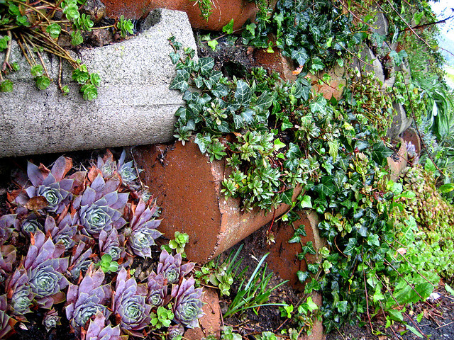 Je známo, že rostliny pročišťují vzduch, absorbují oxid uhličitý, jsou zdrojem potravy a poskytují ochranu před nepřízní počasí. Kromě toho ale také snižují okolní teplotu procesem evapotranspirace, při němž do atmosféry uvolňují vodu v reakci na teplejší a sušší vzduch, podobně jako lidský organismus ochlazuje pot. Rostliny umístěné podél nebo přímo na zdi zároveň fungují jako izolace