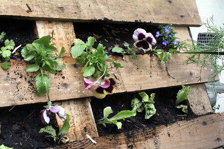 Kromě vlastního zahrádkaření se budou v komunitní zahradě lidé také moci dozvědět, jak si například postavit ve vnitrobloku atraktivní i užitečné cihlové bylinkové spirály nebo vlastní květníky z palet