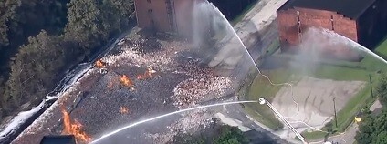 foto: Savage Entertainment / youtube.com