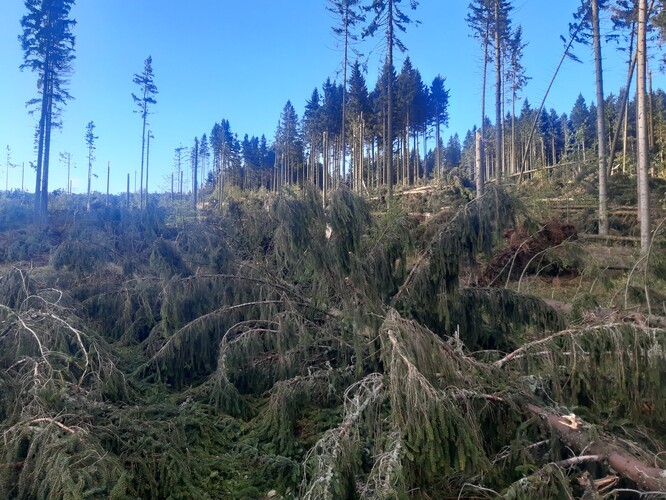 Hasiči měli o víkendu v Olomouckém kraji kvůli silnému větru 220 výjezdů.