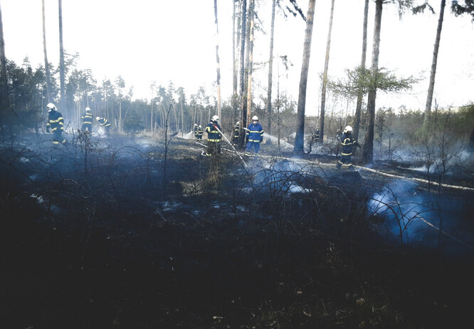 Na Olomoucku hasiči hasili hned dva lesní požáry, u Troubelic a u Slatinek.