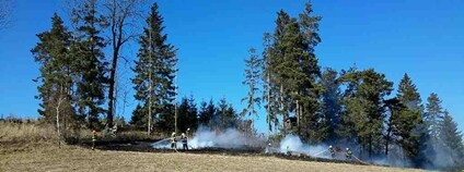 Požár porostu Foto: HZS Jihomoravského kraje