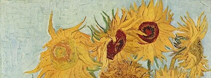 Vincent van Gogh - Slunečnice Foto: Wikimeda Commons