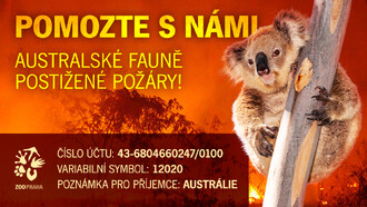 Plakát sbírky „Pomáháme jim přežít“.