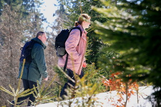 Dva dobrovolníci pátrají po stopách rysů a jiných šelem na hřebenech Beskyd.