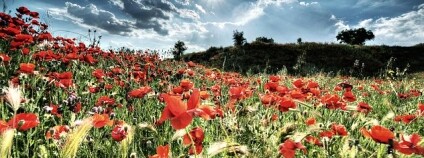 Foto: Jose Maria Cuellar / Flickr