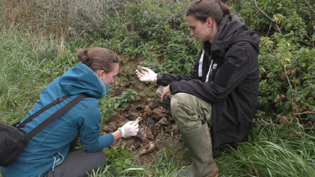 Mršina zvířete. Teď je potřeba zjistit, jestli příčinou úmrtí byl jed Stutox II.