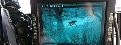 Foto: NPASLondon / pbs.twimg.com