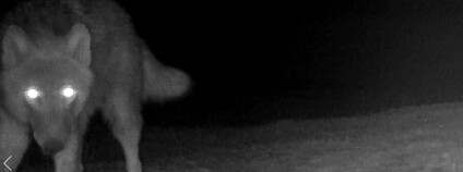 foto: Česká krajina