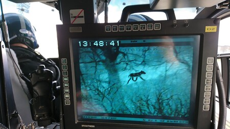 Vlka Toraka našli pomocí termokamery.