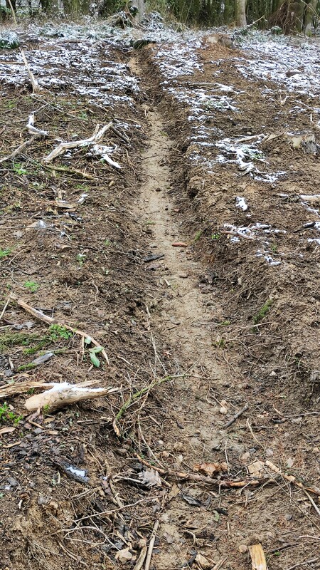 Jeden ze svejlů v lese na Kvíkalce.