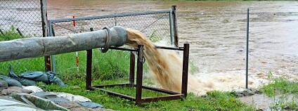 Foto: ChiccoDodiFC Shutterstock