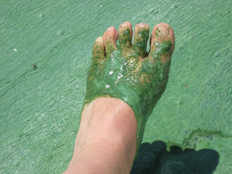 Jsou vody, které ke koupání rozhodně nelákají