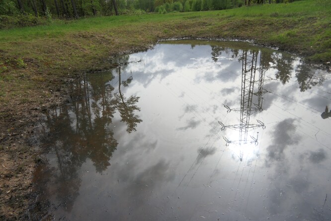 „Východočeská Sahara“ a potenciál koridorů pod dálkovými elektrovody pro ochranu přírody.