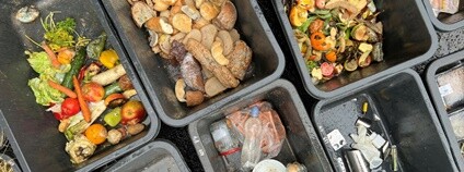 Vyhazování jídla Foto: Mendelova univerzita v Brně