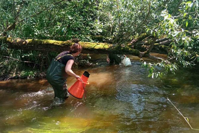 Pro další osud perlorodek je klíčové šetrné hospodaření v celém povodí.