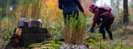 Foto: Nadace Ivana Dejmala pro ochranu přírody