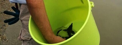 foto: Екатерина Войнова / WWF