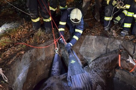 Záchranné sítě pořízené ze sbírky mají hasiči v Libereckém, Jihomoravském, Pardubickém a Plzeňském kraji.