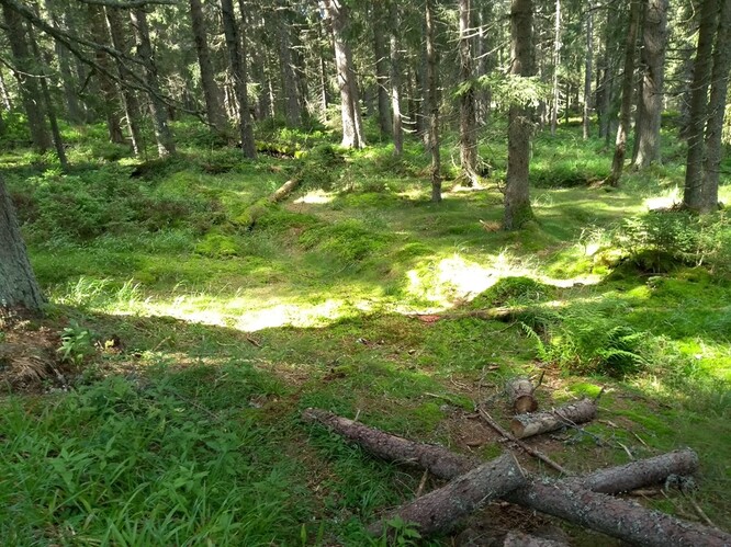 Měli bychom si dát pozor, abychom kvůli fanatickému boji za snížení emisí CO2 své životní prostředí. K takovým koncům by mohly vést některé scénáře prosazované právě zelenými aktivisty. Krásná krajina na Šumavě.