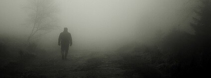 Foto: cocoparisienne / pixabay.com