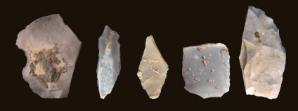 Nová nálezy. Foto: Michael R. Waters/ Science/AAAS