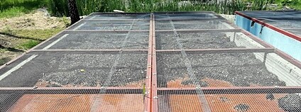 Wetland+ v Jaworznu Foto: LIFEPOPWAT/TUL