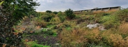 Vilém Jurek / Rezekvítek