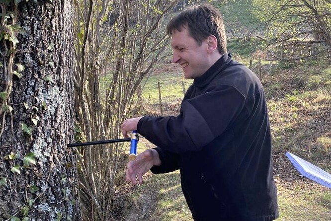 Odebírání vzorku dřeva. Vzorky byly shromážděny v 11 východoevropských zemích. Vznikl tak rozsáhlý soubor referenčních vzorků.
