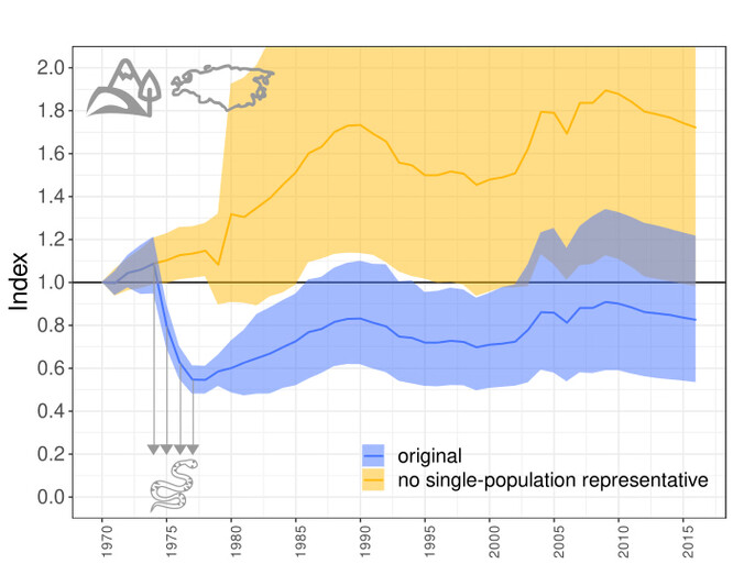 Obr. 1: Zmije obecná (Vipera berus) je jediným reprezentantem obojživelníků a plazů v palearktické oblasti pro roky 1974-1977, a protože její sledovaná populace v daném období klesala, klesá kvůli složitému výpočtu i výsledný Living Planet Index (LPI) pro celou palearktickou oblast. Když jej spočítáme bez této jediné populace, LPI pro palearktickou oblast vyjde naopak jako mírně rostoucí.