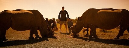 foto: Kristian Schmidt / WildAid