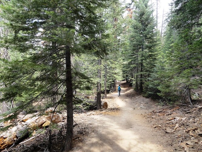 Zatímco celá Sierra Nevada plošně vysychá, povodí Illilouette Creek tenhle problém nemá. Mezi lety 1969-2012 se tu zásoba vody a půdní vlhkosti zvýšila o 30 %, což je nesrovnatelné v kontextu celé dnes tak vyprahlé Kalifornie.