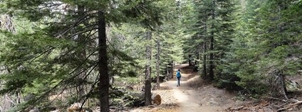Yosemitský park Foto: Fabio Achilli Flickr