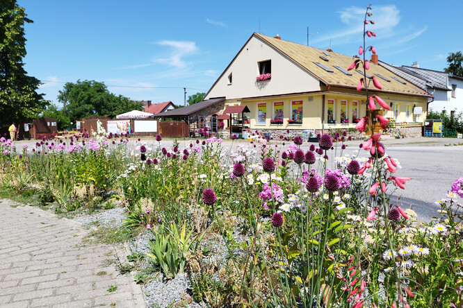 Ukázkový záhon projektu Pěstuj bezpečně – nepodporuj invazní druhy.
