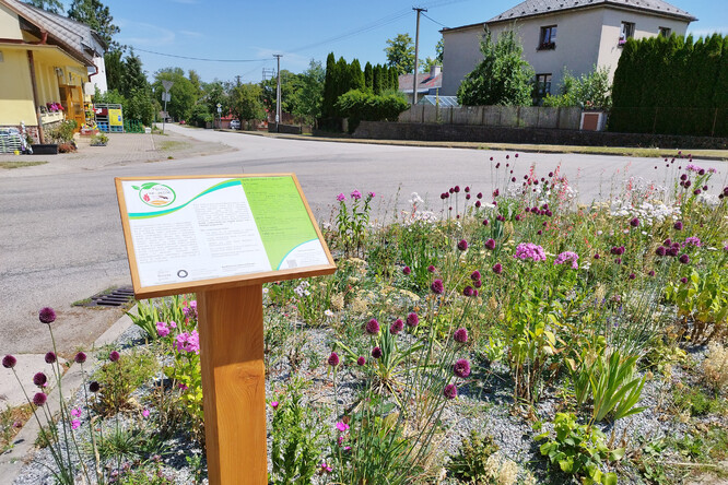 Ukázkový záhon projektu Pěstuj bezpečně – nepodporuj invazní druhy.
