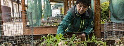 Foto: Kamila Antošová Správa KRNAP