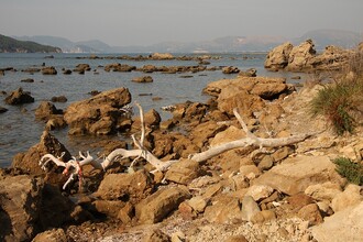 Podle analýzy zveřejněné na ochranářském kongresu v Čedžu nejde jen o rozlohu rezervací. Na Zemi je velké množství různých přírodních prostředí a ta by měla být mezi chráněnými územími zastoupena pokud možno rovnoměrně. Na ilustračním snímku oblast mořského národního parku na řeckém ostrově Zakynthos