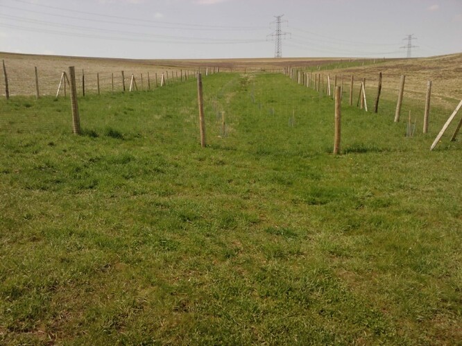 Splavenou ornici je lépe zachytávat hned na začátku, pod polem, čímž se předejde zanášení vodotečí bahnem a kamením.