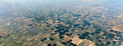 Foto: Jeremy Buckingham / Flickr