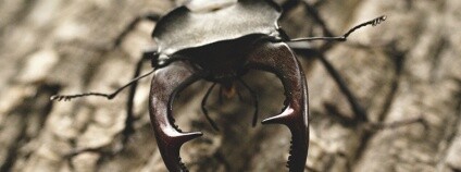 foto: ic-zlin.cz / Muzeum jihovýchodní Moravy