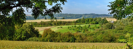 Ilustrační snímek:  Aktron / Wikimedia Commons