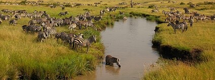 Foto: Peter R Steward / Flickr