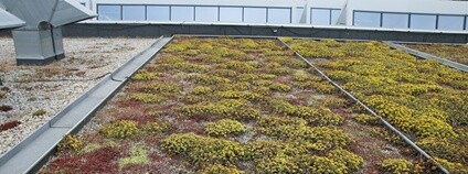 Zelené střechy Foto: ČVÚT
